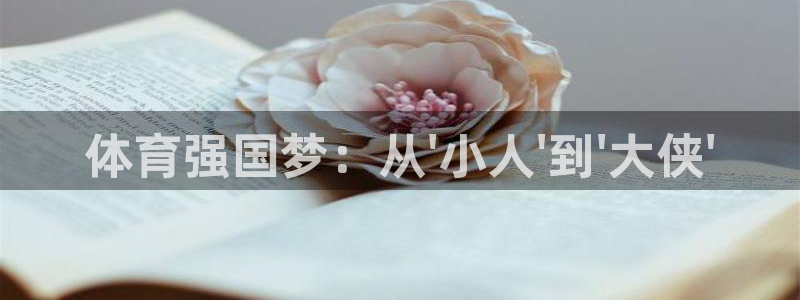 杏悦能源