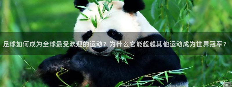 杏悦体育平台开号链接