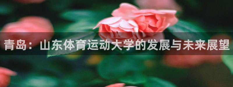 杏悦4平台