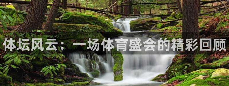 成都杏悦电子有限公司