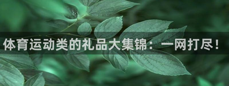 杏悦4官网