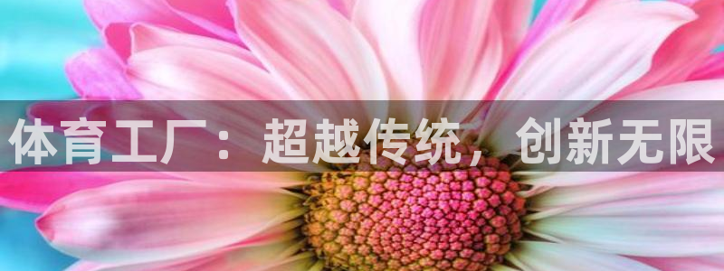 杏悦体育免费注册入口