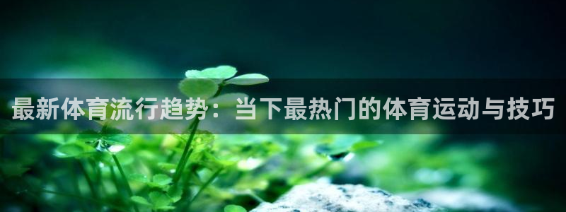杏悦招商地址