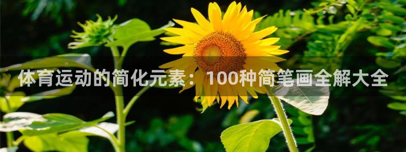 杏悦代理注册官网入口