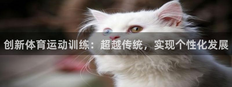 杏悦4平台注册