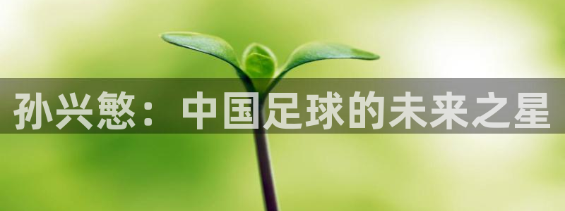 杏悦平台主管