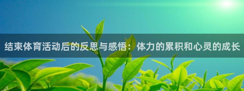杏悦体育和杏耀是哪个公司的