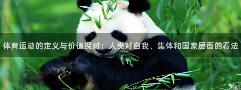 杏悦招商