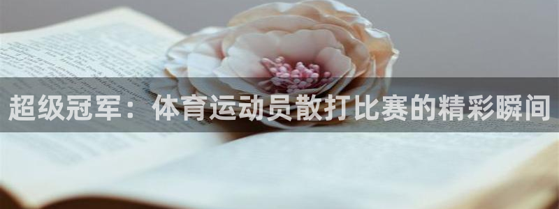杏悦体育平台登录入口