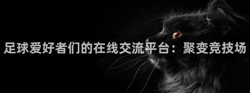 杏悦凯捷平台