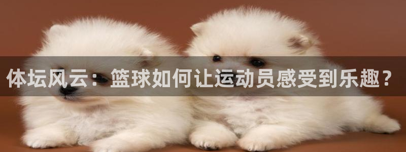杏悦招商