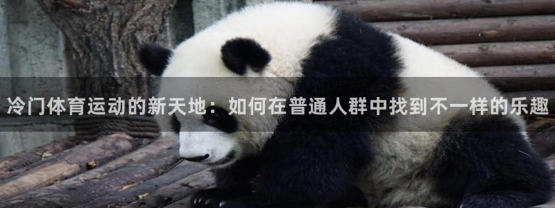 杏悦体育在线注册