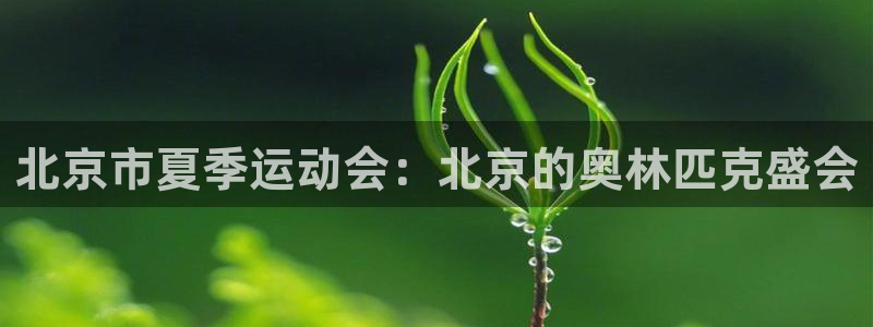 杏悦3官网