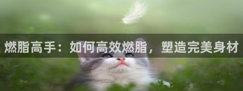 上海杏悦汽车电子有限公司