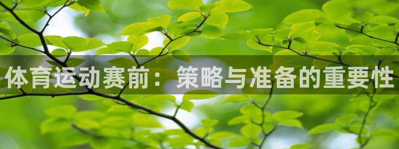 上海杏悦汽车电子有限公司