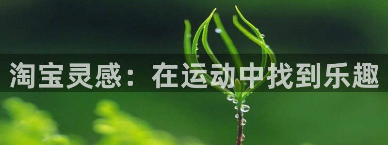 杏悦凯捷平台注册链接