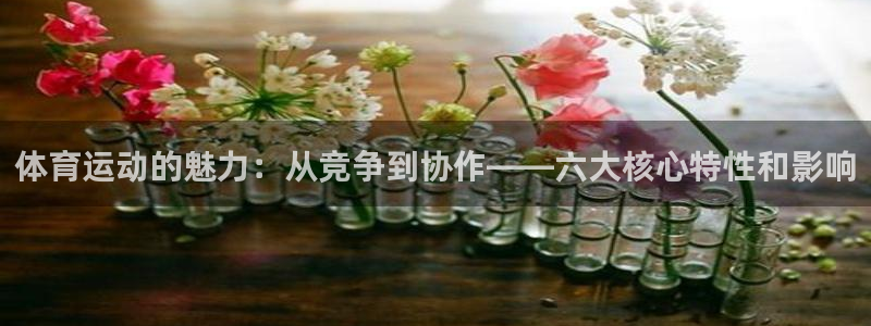 杏悦登录