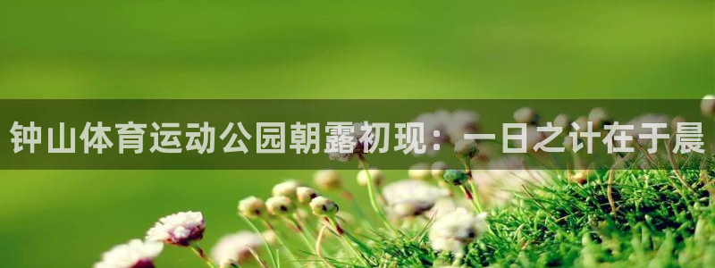 杏悦平台地址