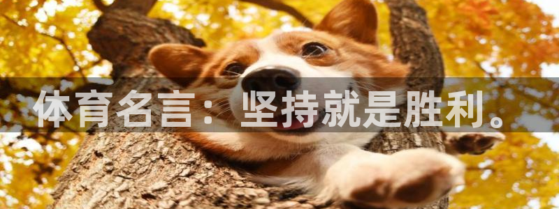 杏悦代理