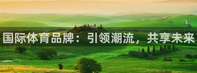 杏悦平台