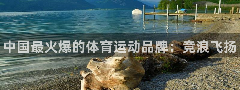 杏悦体育官网注册