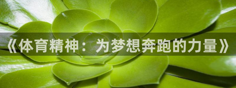 杏悦体育凯捷登陆