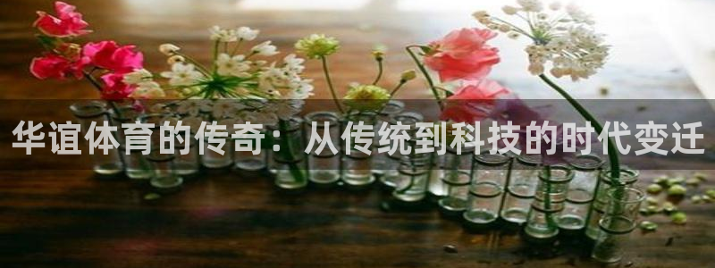 杏悦体育官网登录