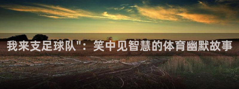 杏悦体育用品